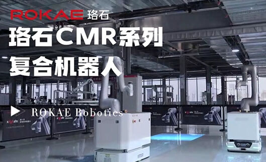 lewin乐玩CMR系列复合机器人应用合集